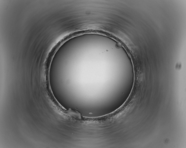 X0000097641118200803071547