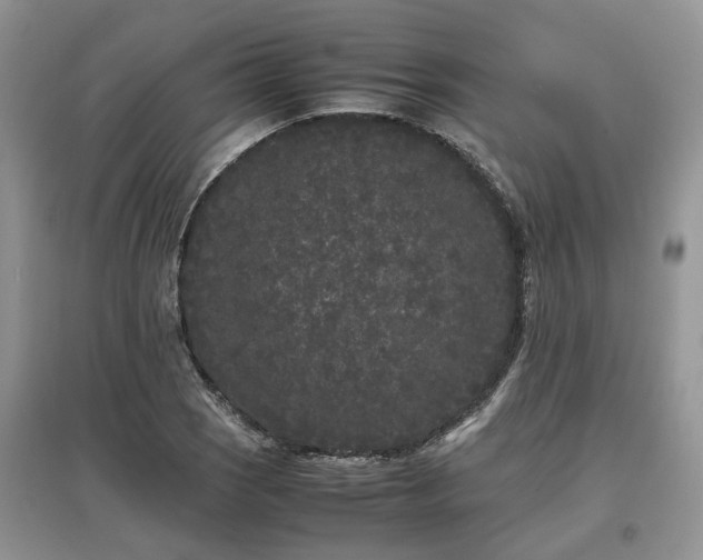 X0000097641121200803071547