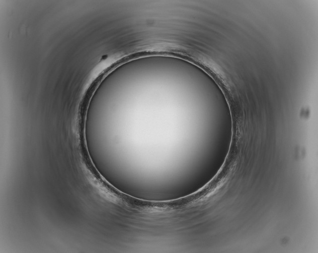 X0000097641122200803071547