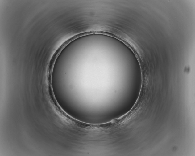 X0000097641124200803071547