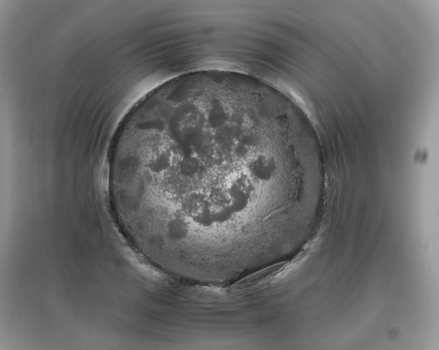 X0000097641125200803071547