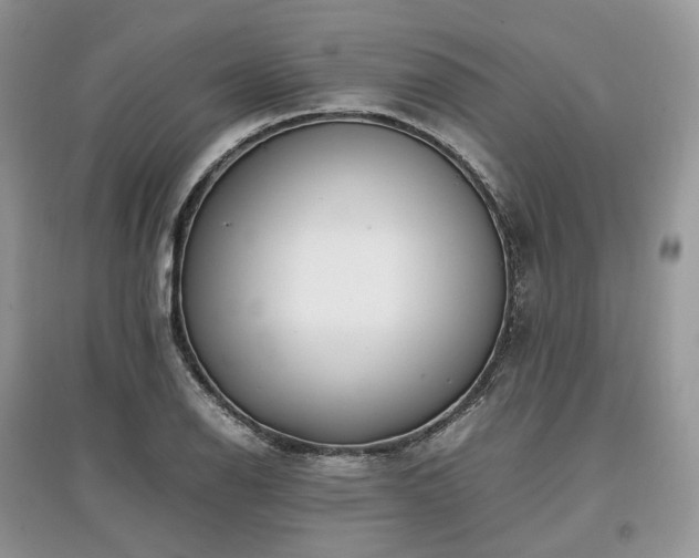 X0000097641126200803071547