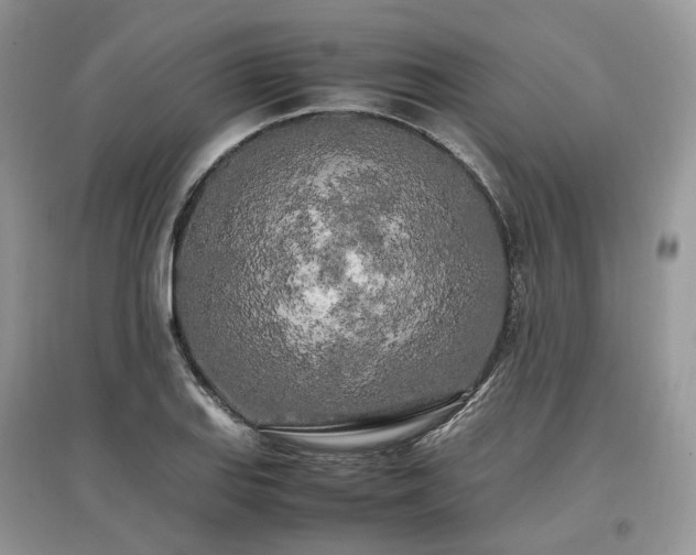 X0000097641127200803071547