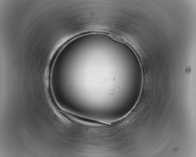 X0000097641128200803071547