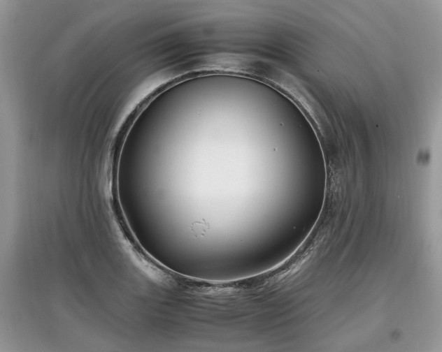 X0000097641131200803071547