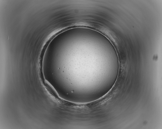 X0000097641133200803071547