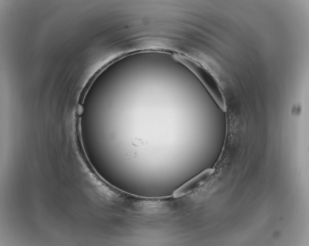 X0000097641134200803071547