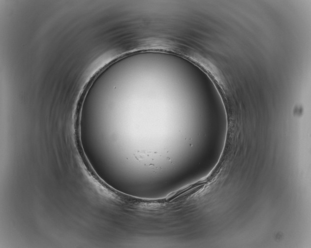 X0000097641135200803071547