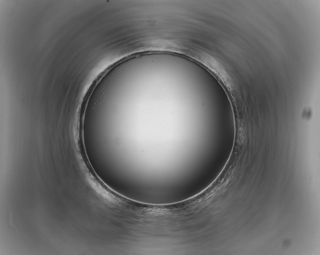 X0000097641136200803071547