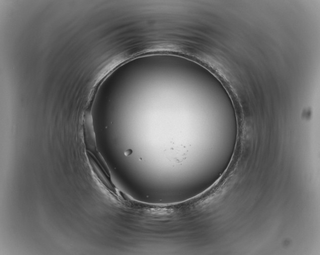 X0000097641137200803071547