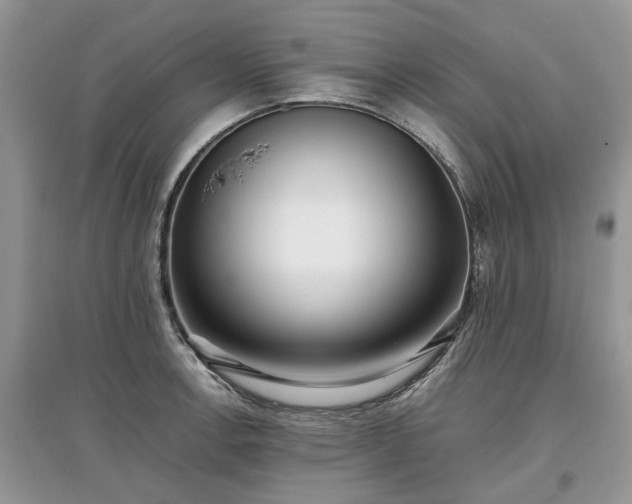 X0000097641138200803071547