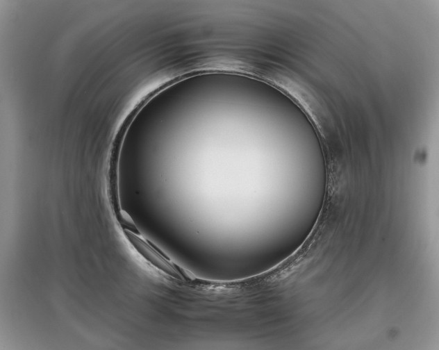 X0000097641139200803071547