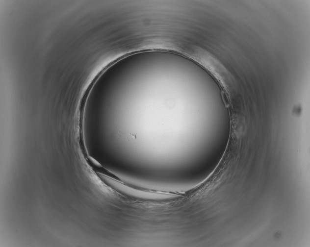 X0000097641140200803071547