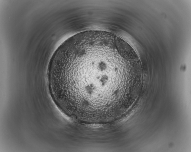 X0000097641141200803071547