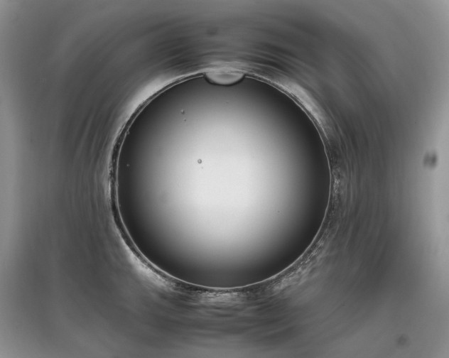 X0000097641143200803071547