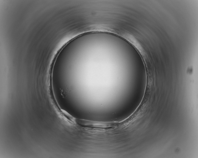 X0000097641144200803071547