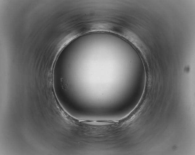 X0000097641145200803071547