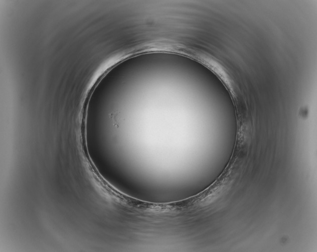 X0000097641146200803071547