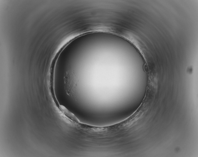 X0000097641147200803071547