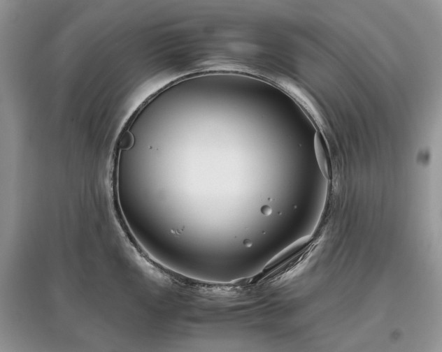 X0000097641149200803071547