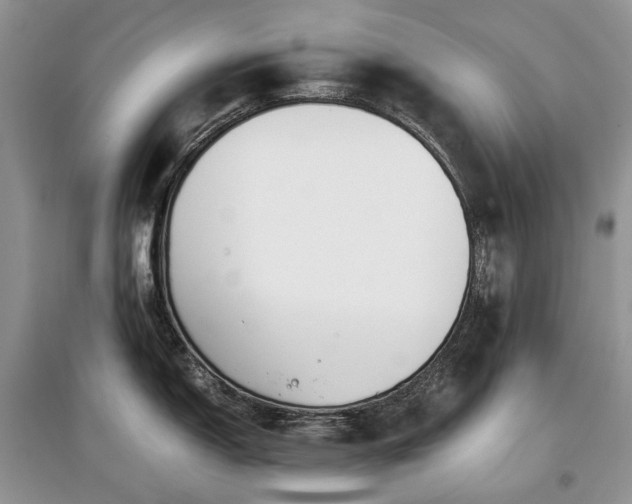 X0000097641150200803071547