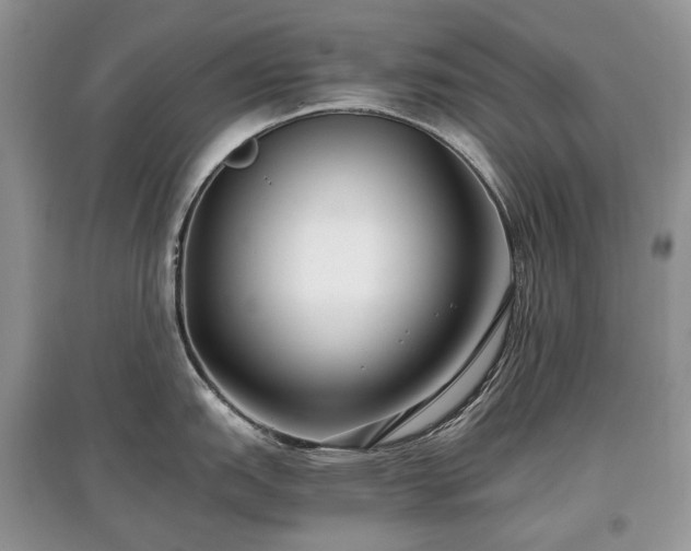 X0000097641151200803071547