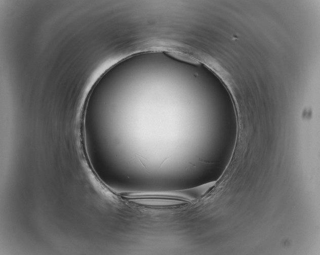 X0000097641152200803071547