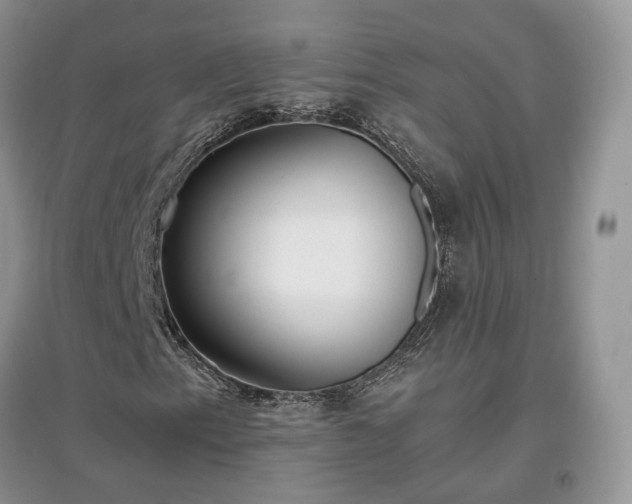 X0000097641153200803071547