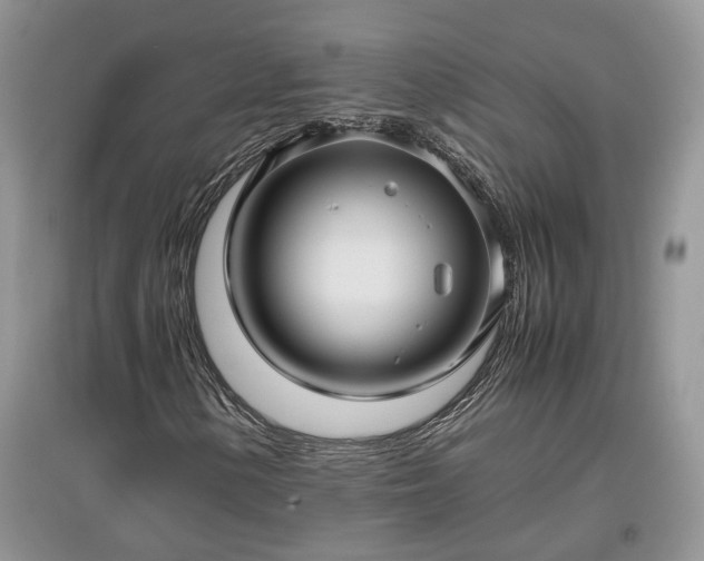 X0000097641154200803071547