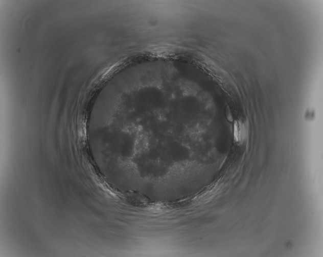 X0000097641155200803071547