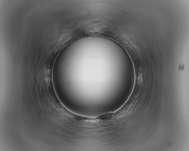 X0000097641156200803071547