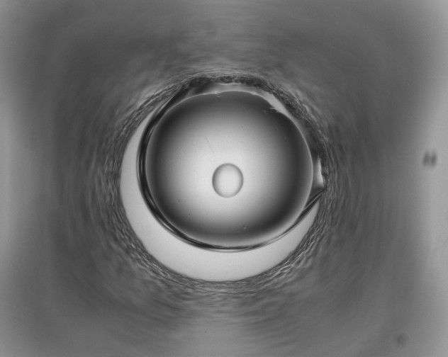 X0000097641157200803071547