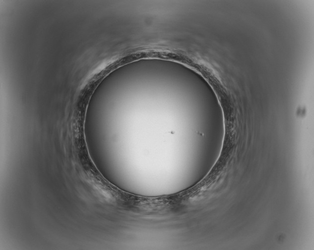 X0000097641159200803071547