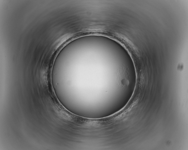 X0000097641162200803071547