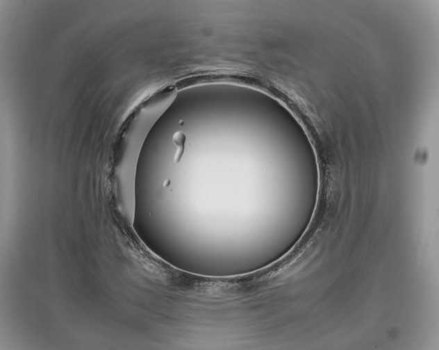 X0000097641163200803071547