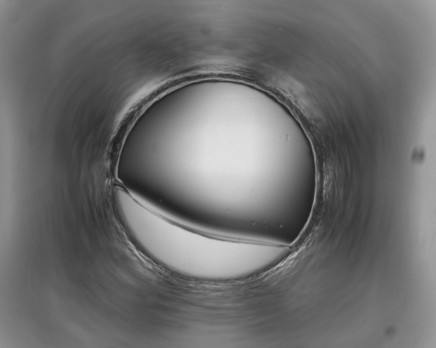 X0000097641164200803071547