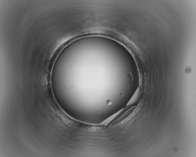 X0000097641166200803071547