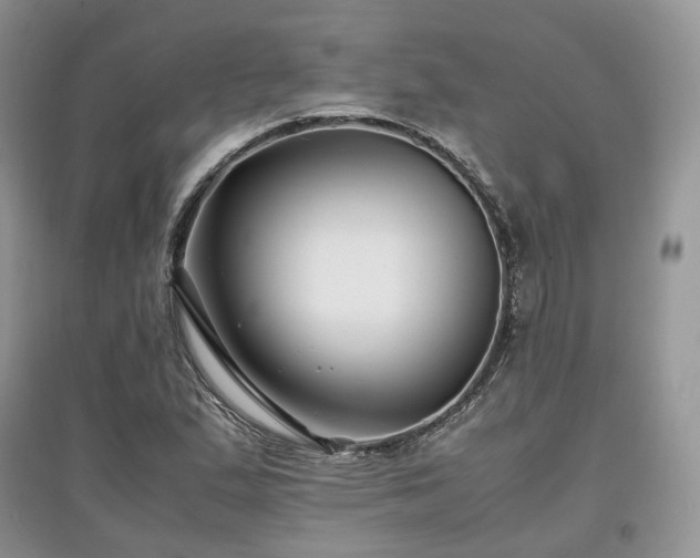 X0000097641167200803071547