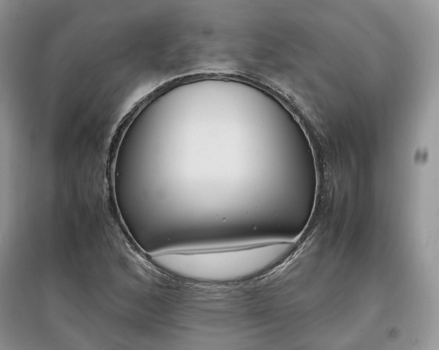 X0000097641168200803071547