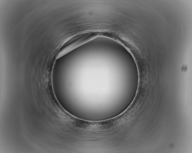 X0000097641169200803071547