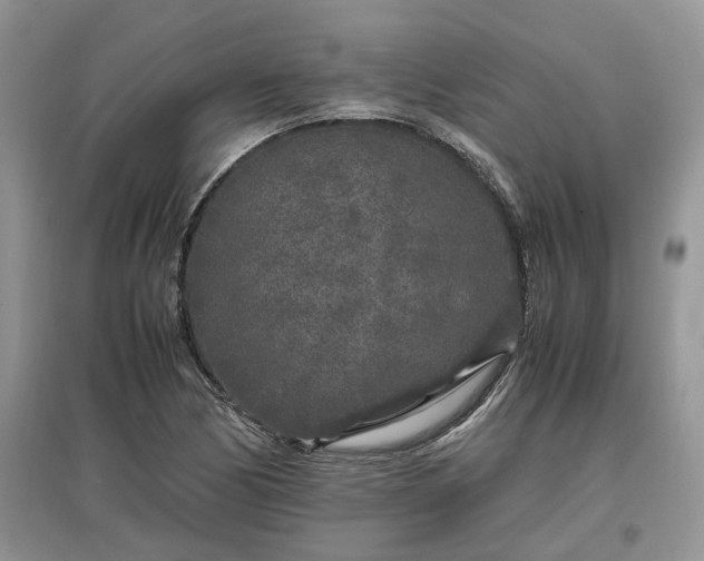 X0000097641170200803071547