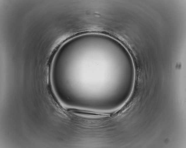 X0000097641171200803071547