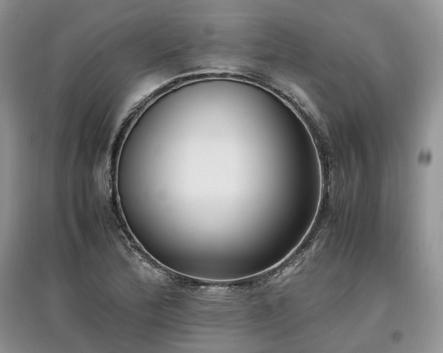 X0000097641172200803071547