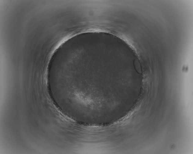 X0000097641173200803071547