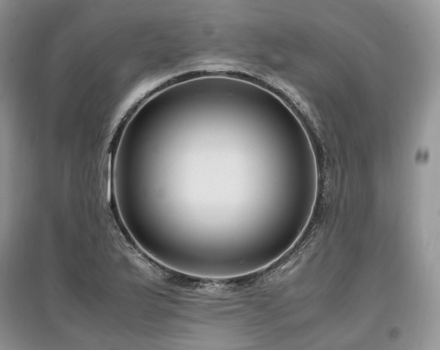 X0000097641175200803071546