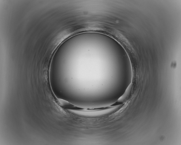 X0000097641177200803071546