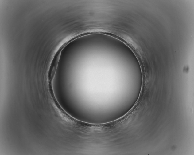 X0000097641181200803071546