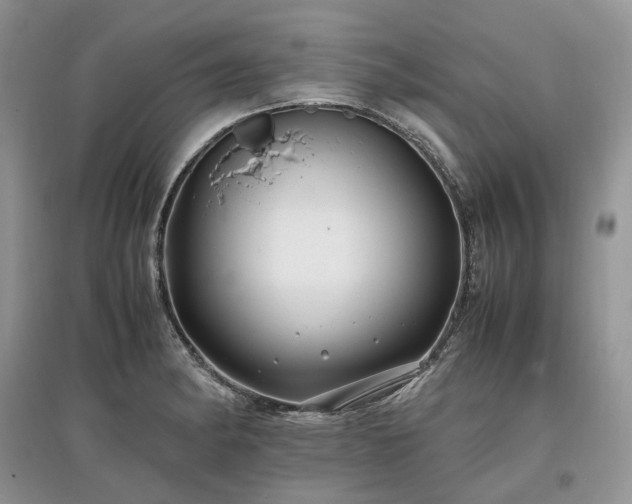 X0000097641182200803071546