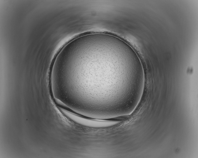 X0000097641183200803071546