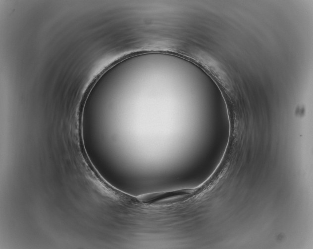 X0000097641184200803071546